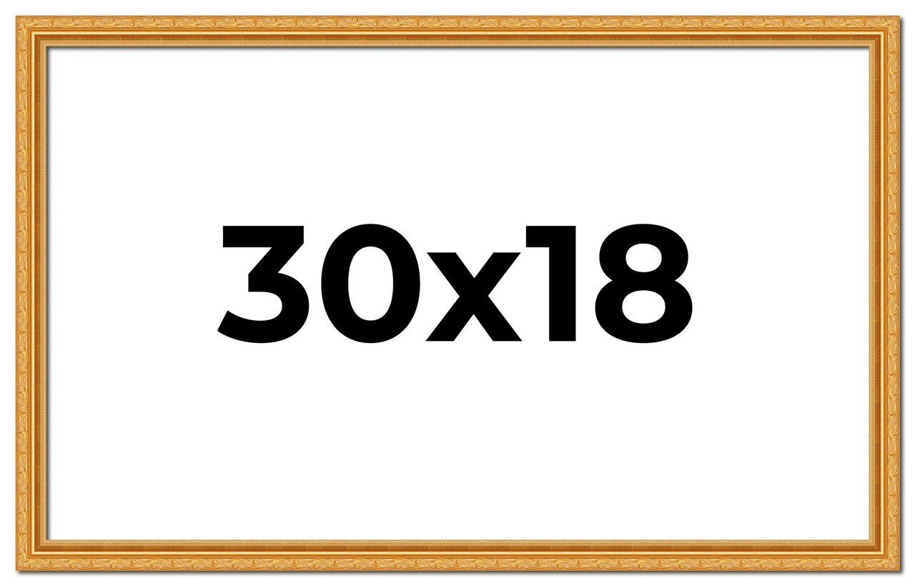 30x18 Solid Wood Antique Picture Frame with UV-Resistant Acrylic & Acid-Free Backing, Available in 4 Finishes: Bronze, Gold, Silver, and Gold with Black